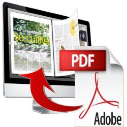 Brochure 2DSI PDF file